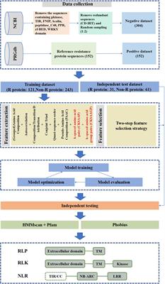 prPred: A Predictor to Identify Plant Resistance Proteins by Incorporating k-Spaced Amino Acid (Group) Pairs